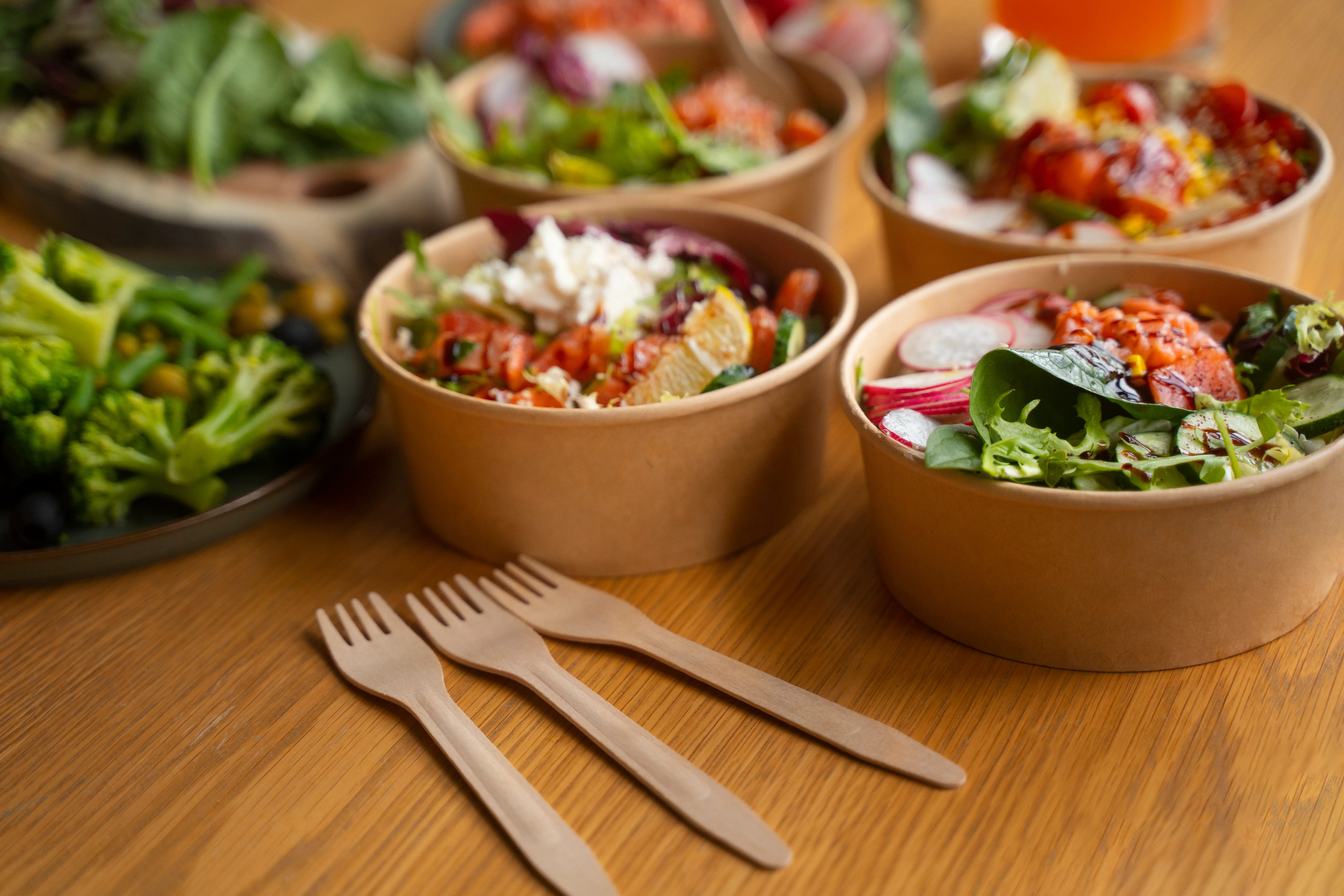 Eco-Friendly bagasse Tabelware